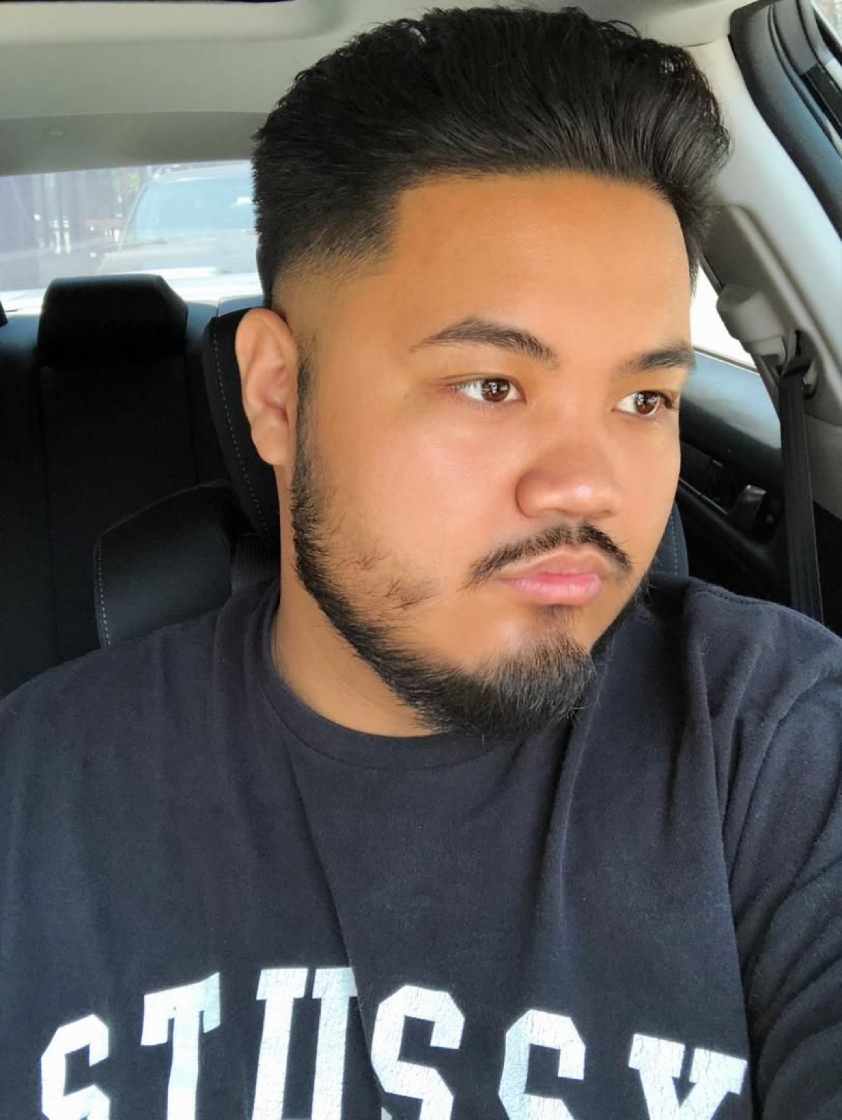 Pompadour with a faded beard blended into the sideburn